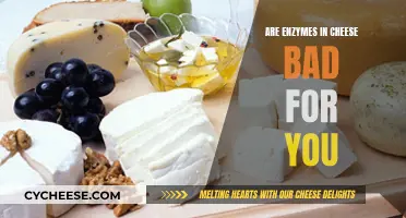 The Enzyme Mystery: Are Cheeses Safe to Eat?