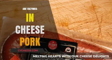 Are Enzymes in Cheese Derived from Pork? Unraveling the Truth