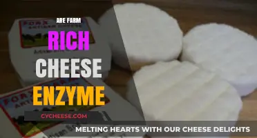 Farm Rich Cheese Enzyme: Unveiling the Secret Behind Its Creamy Texture