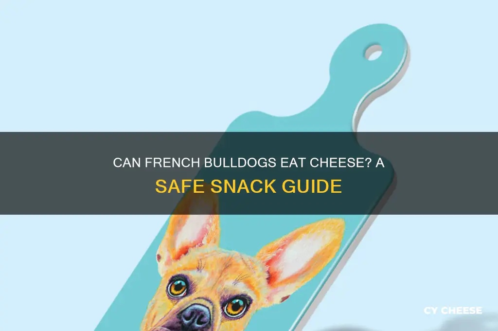 are french bulldogs allowed cheese