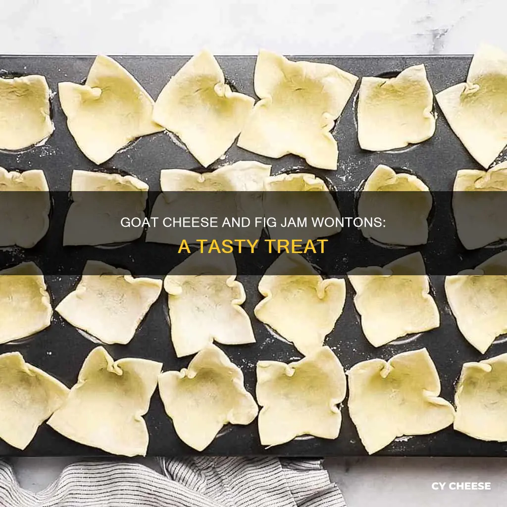 are fried goat cheese and fig jam wontons
