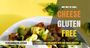 Gluten-Free Chili Cheese: What About the Frit?