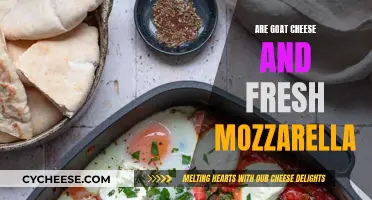 Goat Cheese and Mozzarella: A Tangy, Fresh Comparison