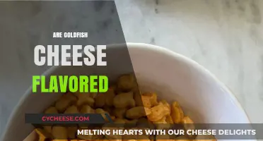 Unraveling the Myth: Are Goldfish Crackers Really Cheese Flavored?