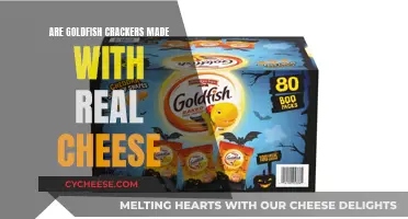 Goldfish Crackers: Real Cheese or Just Marketing?