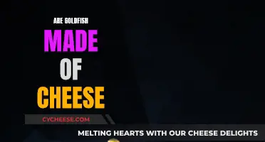 Goldfish: Cheesy Creatures or Just Aquatic Friends?