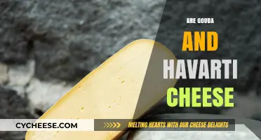 Gouda vs. Havarti: Exploring the Unique Flavors and Textures of These Cheeses