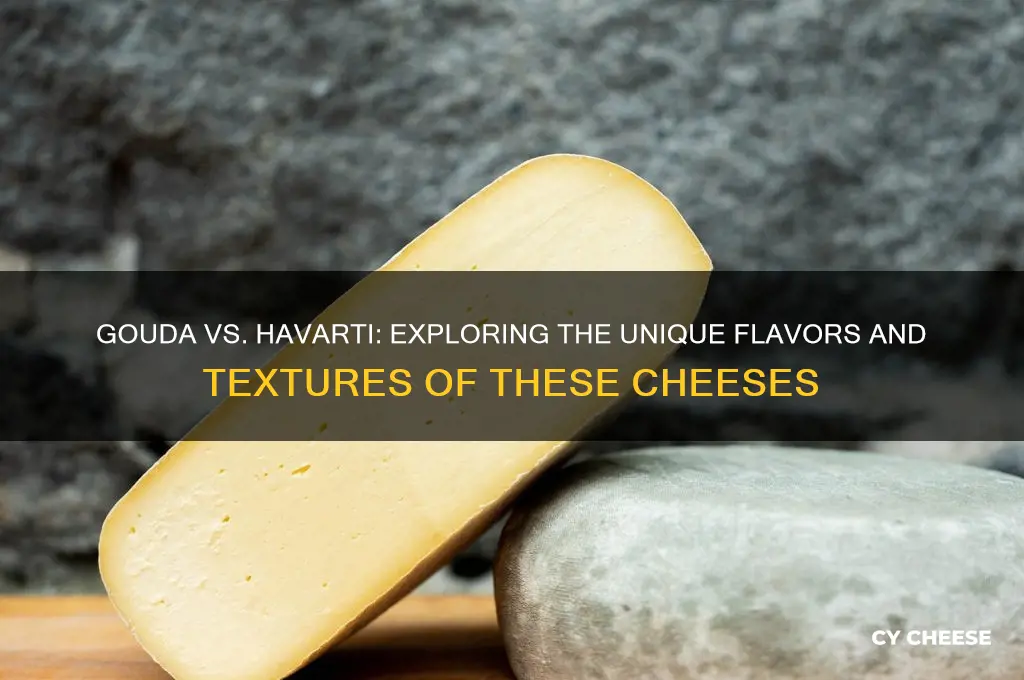 are gouda and havarti cheese