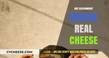 Is Government Cheese Real Cheese? Uncovering the Truth Behind the Myth