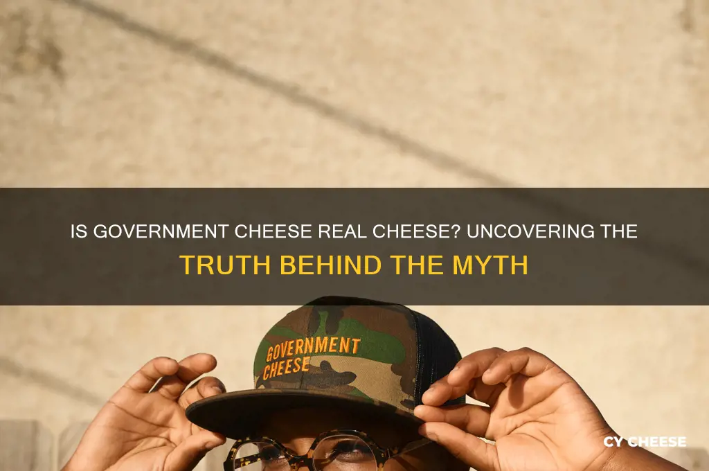 are governmant cheese real cheese