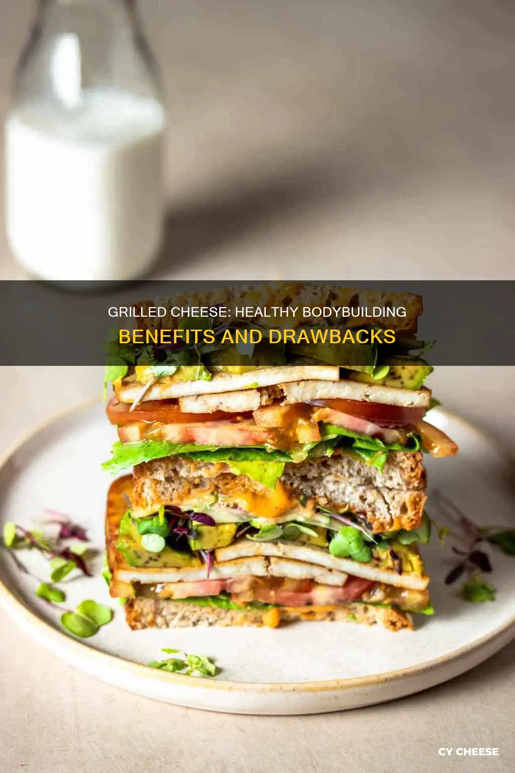 are grilled cheese healthy bodybuilding