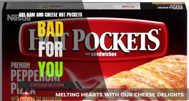 Hot Pockets: Are They Healthy or Unhealthy?