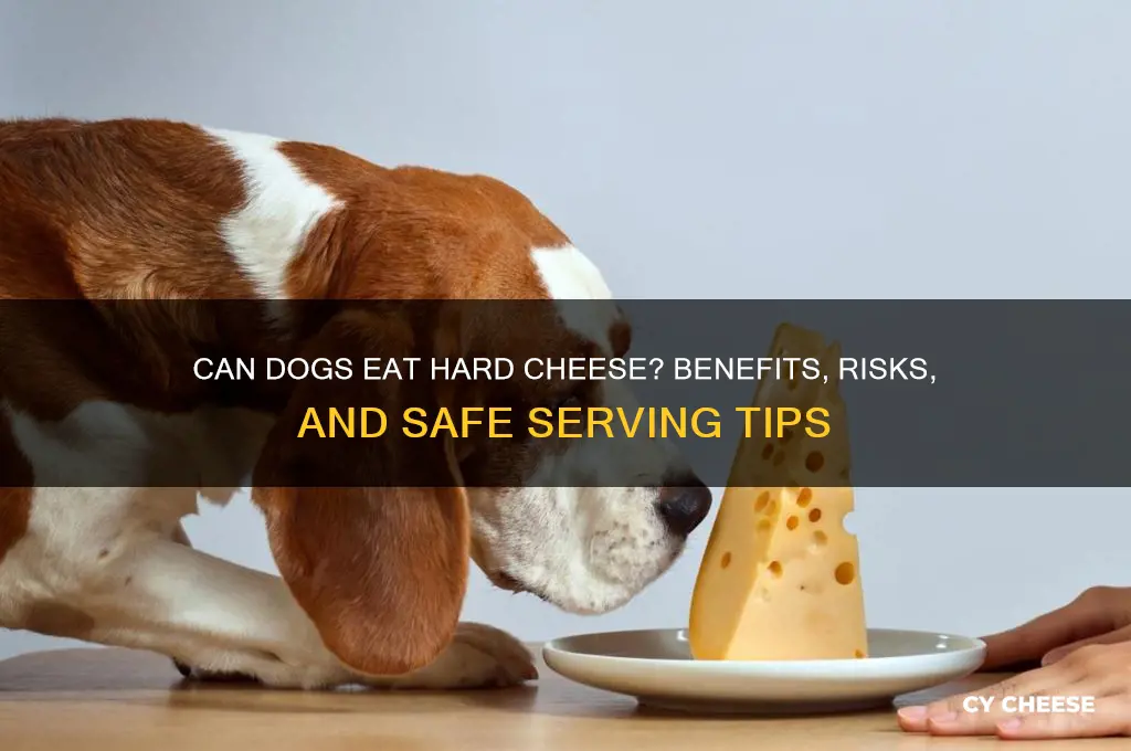 are hard cheeses good for dogs