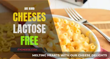 Hard Cheeses: Lactose-Free Superfoods?