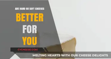 Hard vs. Soft Cheese: Which is Healthier for Your Diet?