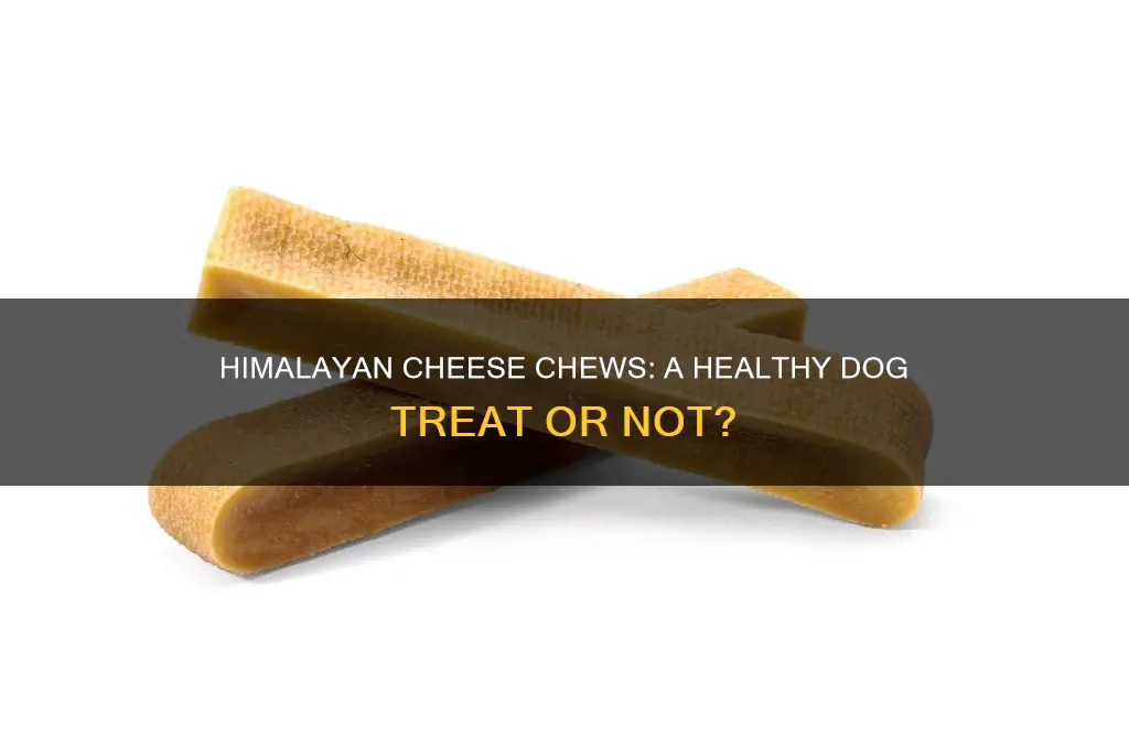 are himalayan cheese chews good for dogs