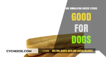 Himalayan Cheese Sticks: Safe and Healthy Dog Treats?