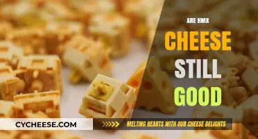 Are HMX Cheese Still Good? A Tasty Review and Update