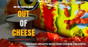 Cheesy Delight: Unveiling the Truth Behind Hot Cheetos