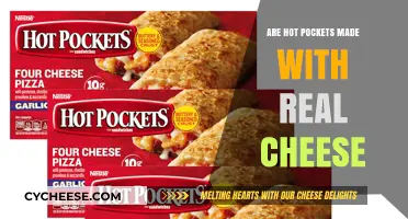 Hot Pockets: Real Cheese or Just a Mockery?