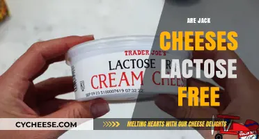Jack Cheese and Lactose: What's the Deal?