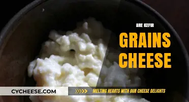 Kefir Grains vs. Cheese: Unraveling the Fermented Food Mystery