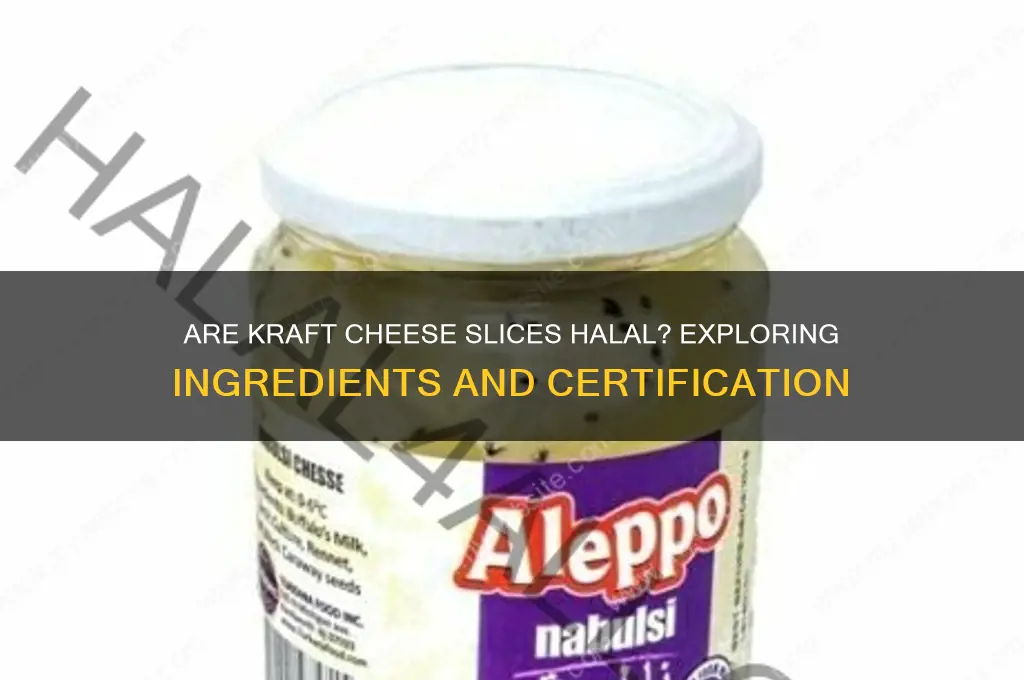 are kraft cheese slices halal