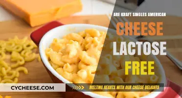 Kraft Singles: Lactose-Free American Cheese?