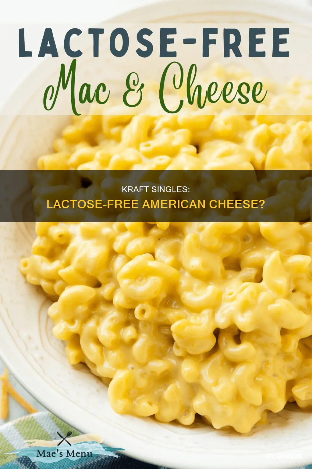 are kraft singles american cheese lactose free