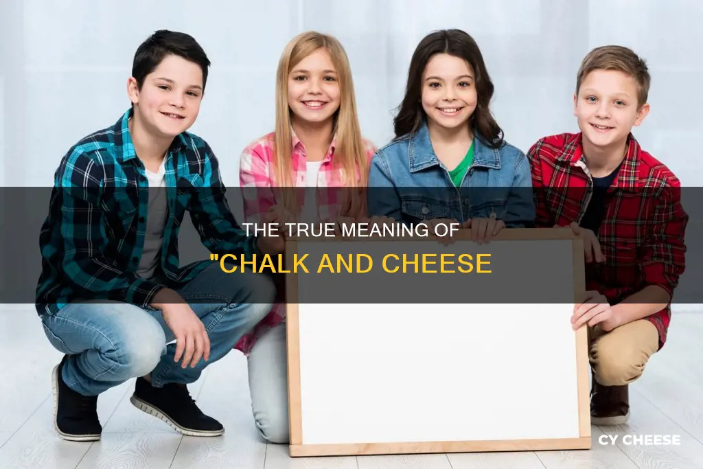 are like chalk and cheese meaning