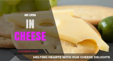 Are Lipids in Cheese? Uncovering the Truth About Cheese Composition