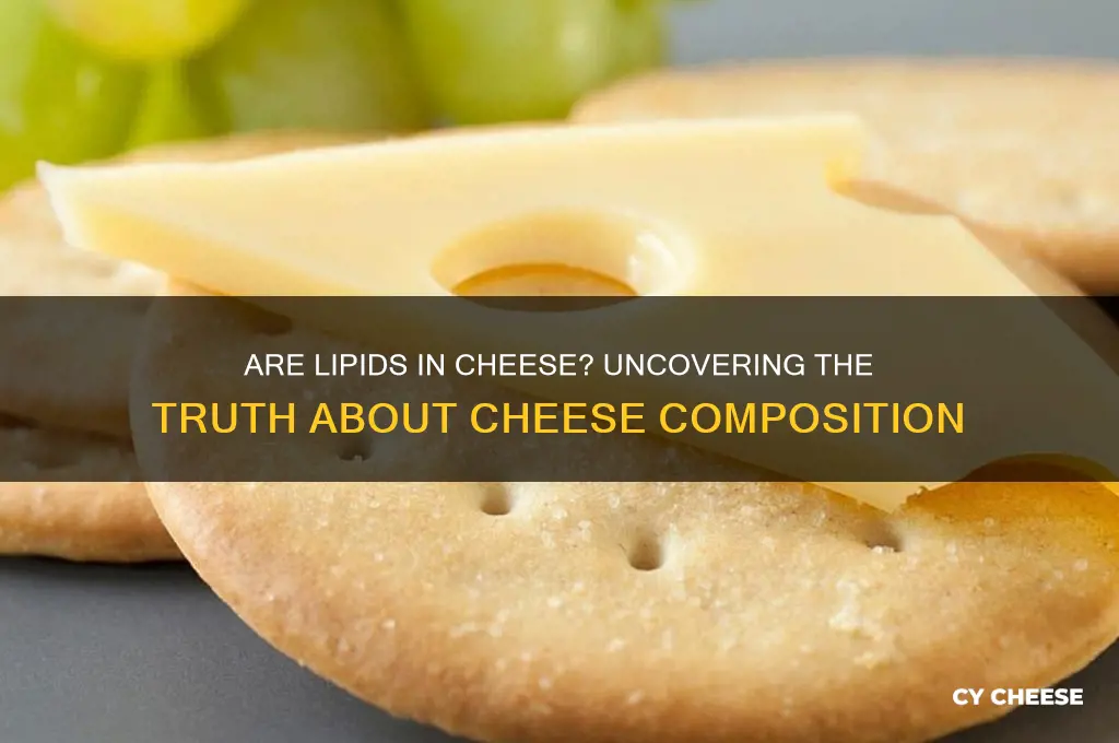 are lipids in cheese