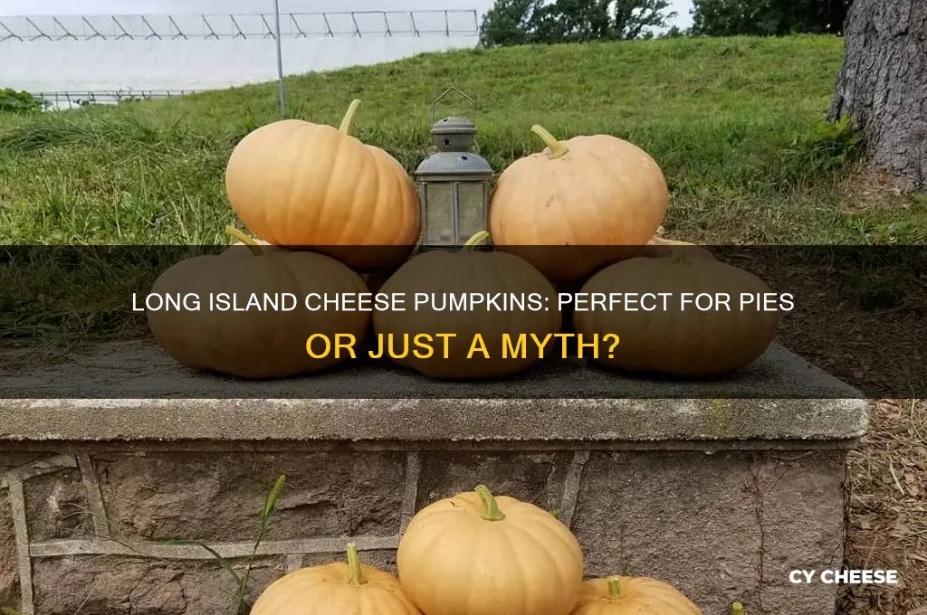 are long island cheese pumpkins good for pies