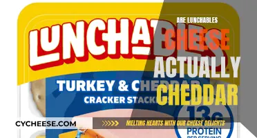 Unraveling the Mystery: Are Lunchables' Cheddar Really Cheddar?