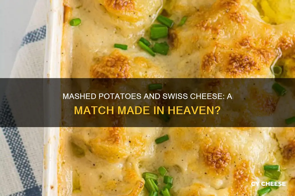 are mashed potatoes good with swiss cheese on them