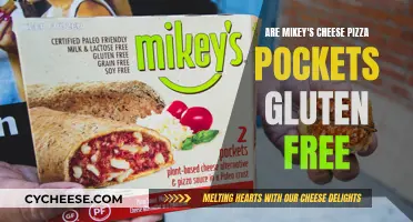 Gluten-Free Goodness: Mikey's Cheese Pizza Pockets Review