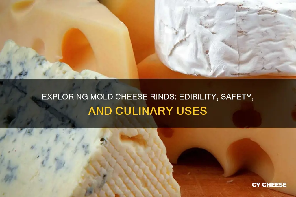 are mold cheese rind