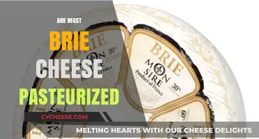 Is Your Brie Pasteurized? Understanding Cheese Safety and Production