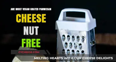 Vegan Parmesan: Nut-Free Options