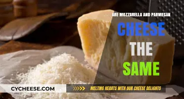 Mozzarella and Parmesan: What's the Difference?