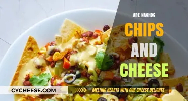 Nachos Unpacked: Are Chips and Cheese Enough for the Perfect Snack?
