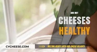 Nut Cheeses: Healthy or Unhealthy?