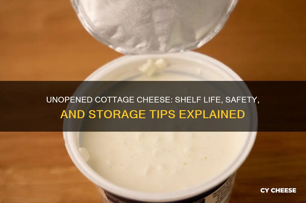 are on an unopened container of cottage cheese