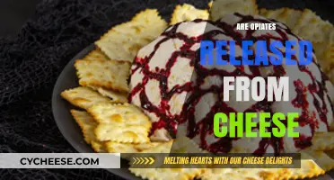 Unraveling the Myth: Do Opiates in Cheese Affect Your Brain?