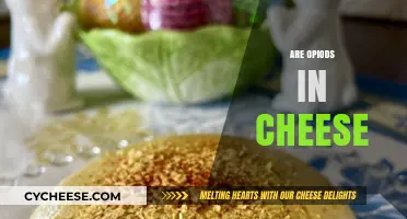 Opioids in Cheese: Fact or Fiction? Unraveling the Dairy Myth