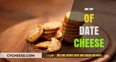 Is Expired Cheese Safe? Myths, Risks, and Storage Tips