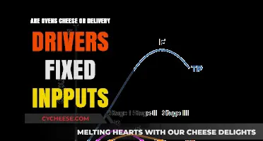 Are Ovens, Cheese, or Delivery Drivers Fixed Inputs? Exploring Production Costs