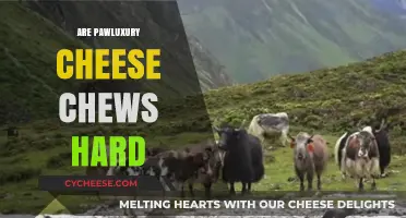 Are Pawluxury Cheese Chews Hard? A Detailed Texture Review