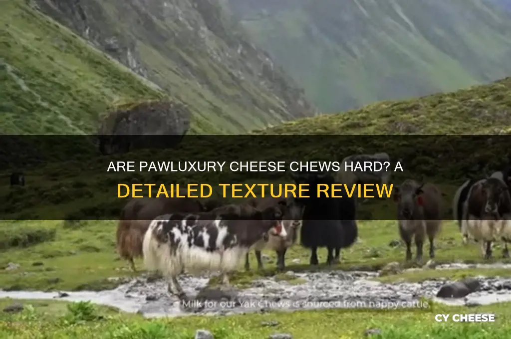 are pawluxury cheese chews hard