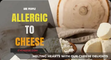 Can Cheese Cause Allergies? Understanding Dairy Sensitivities and Reactions